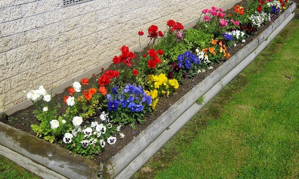 small-flower-bed-design-pictures-99_2 Малка цветна леха дизайн снимки