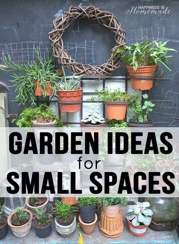 small-space-gardening-ideas-pictures-15_14 Малко пространство градинарство идеи снимки