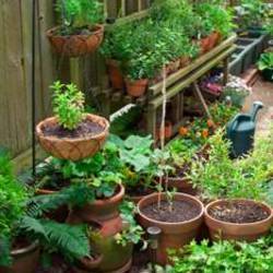 small-space-gardening-ideas-pictures-15_2 Малко пространство градинарство идеи снимки