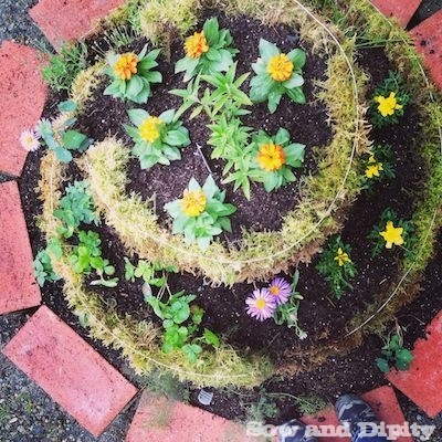 small-space-gardening-ideas-pictures-15_9 Малко пространство градинарство идеи снимки