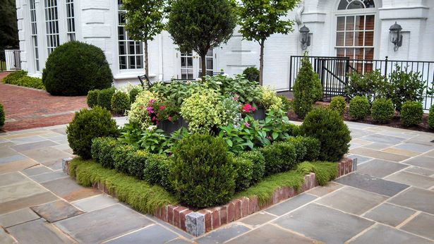 small-square-front-yard-landscaping-63_19 Малък квадратен преден двор озеленяване