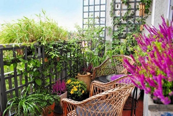 terrace-garden-ideas-pictures-75_9 Тераса градина Идеи снимки