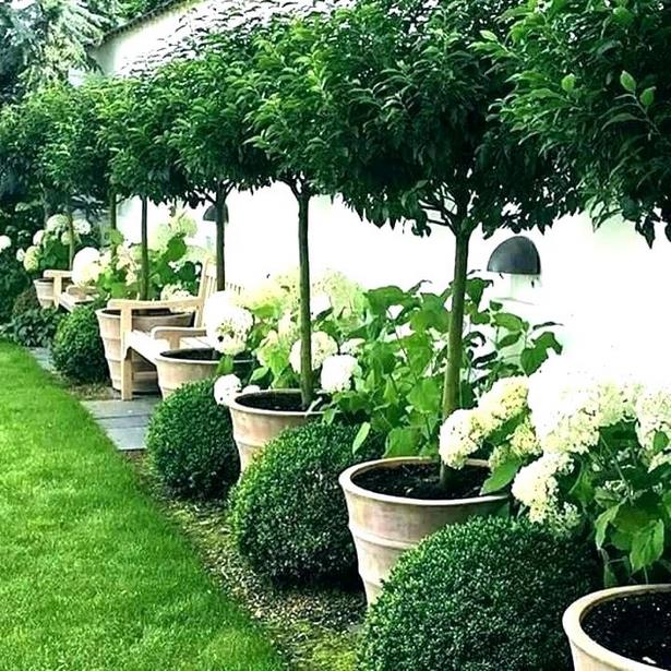 backyard-potted-plant-ideas-70_3 Задния двор саксийни идеи за растения
