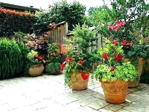 backyard-potted-plant-ideas-70_6 Задния двор саксийни идеи за растения