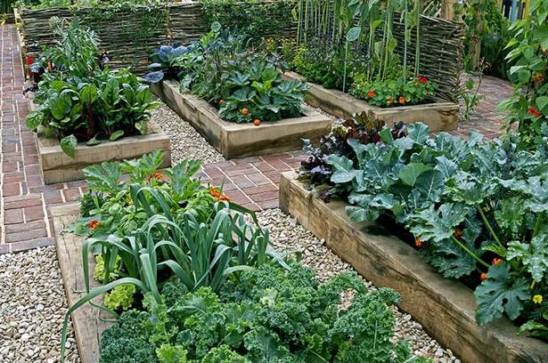 backyard-raised-garden-ideas-62_14 Задния двор повдигнати градински идеи