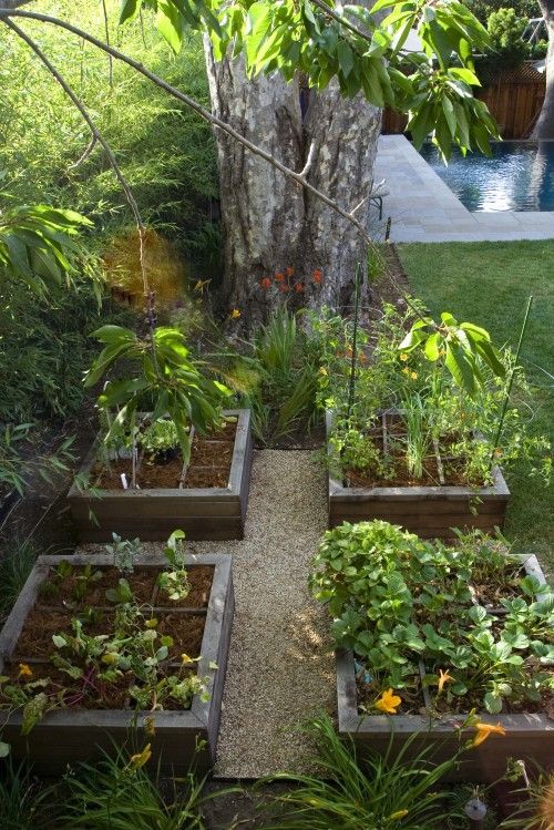 backyard-raised-garden-ideas-62_9 Задния двор повдигнати градински идеи