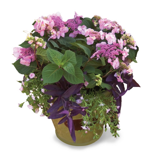 beautiful-flower-containers-59_9 Красиви цветни контейнери
