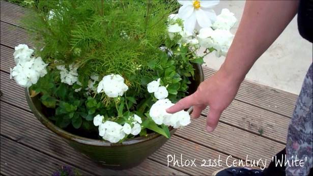beautiful-outdoor-flower-containers-64 Красиви контейнери за цветя на открито