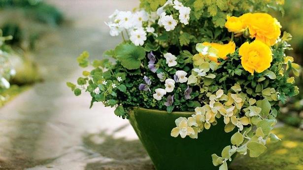 beautiful-outdoor-flower-containers-64_10 Красиви контейнери за цветя на открито