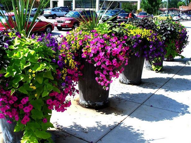 beautiful-outdoor-flower-containers-64_11 Красиви контейнери за цветя на открито