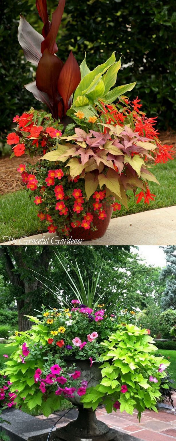 beautiful-outdoor-flower-containers-64_5 Красиви контейнери за цветя на открито