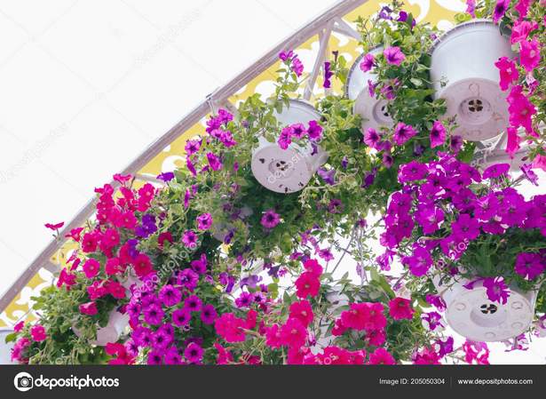 beautiful-outdoor-flower-pots-81_14 Красиви саксии за цветя на открито