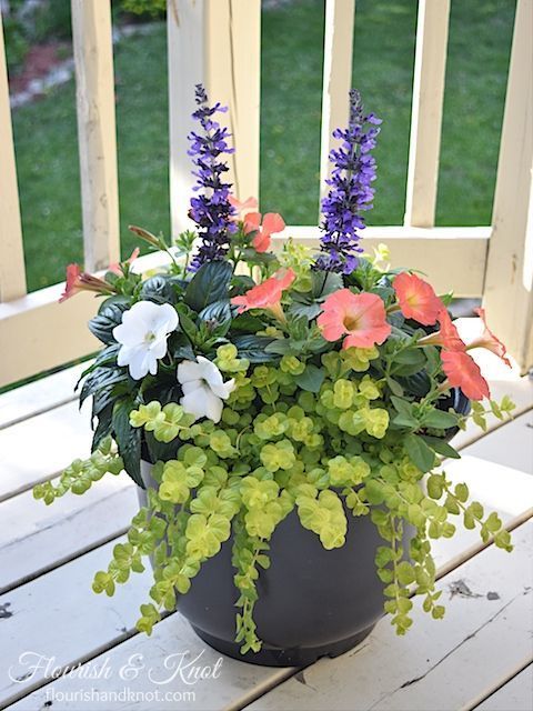 beautiful-outdoor-flower-pots-81_15 Красиви саксии за цветя на открито