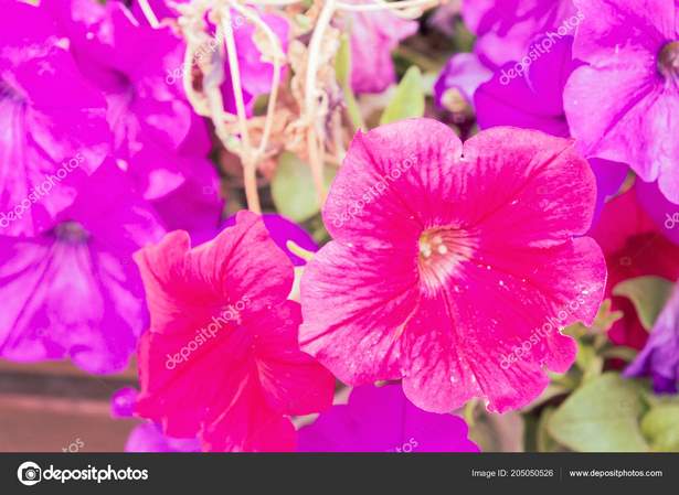 beautiful-outdoor-flower-pots-81_8 Красиви саксии за цветя на открито