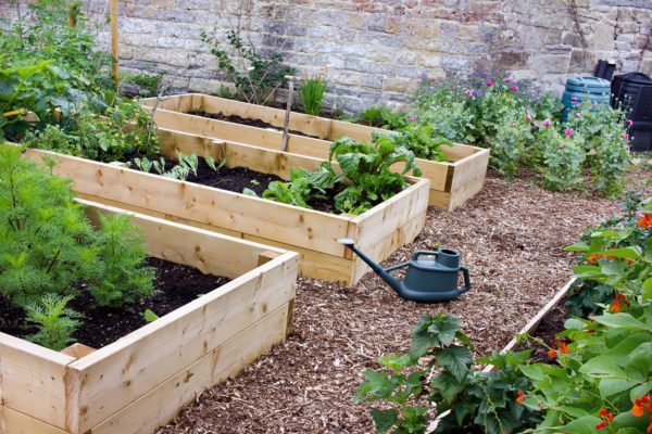 best-elevated-garden-beds-06 Най-добрите издигнати градински легла