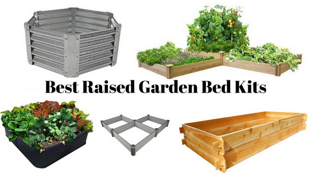 best-elevated-garden-beds-06 Най-добрите издигнати градински легла