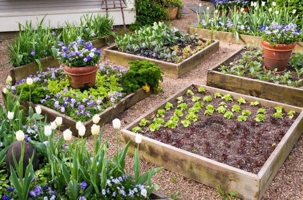 best-garden-beds-43_4 Най-добрите градински легла