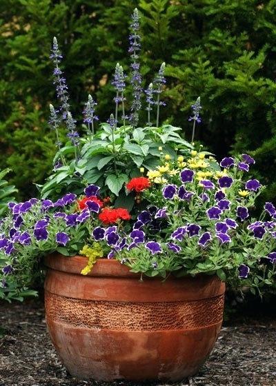 colorful-container-garden-ideas-54_12 Цветни контейнерни градински идеи