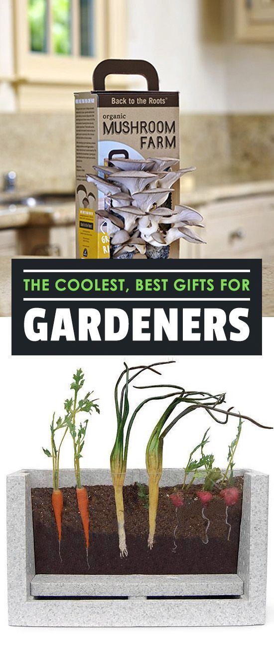 cool-gardening-gifts-43_5 Готини градинарски подаръци