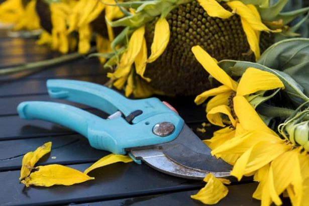 cool-gardening-tools-67_4 Готини градинарски инструменти