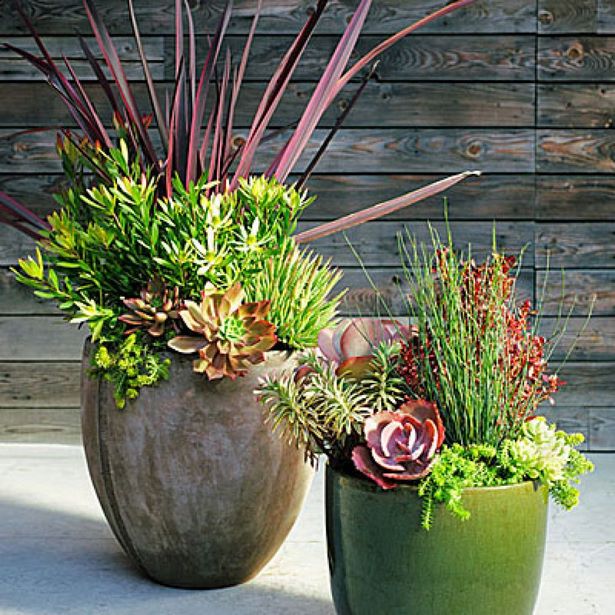 design-plants-in-pots-12_5 Дизайн растения в саксии