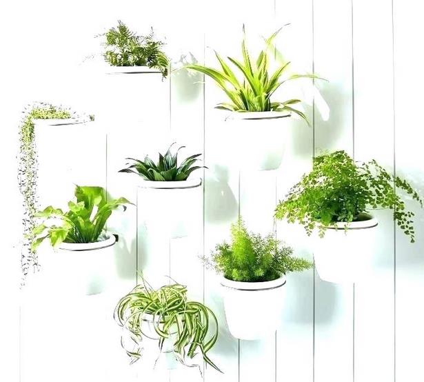 designs-for-plant-pots-54_3 Дизайн за саксии