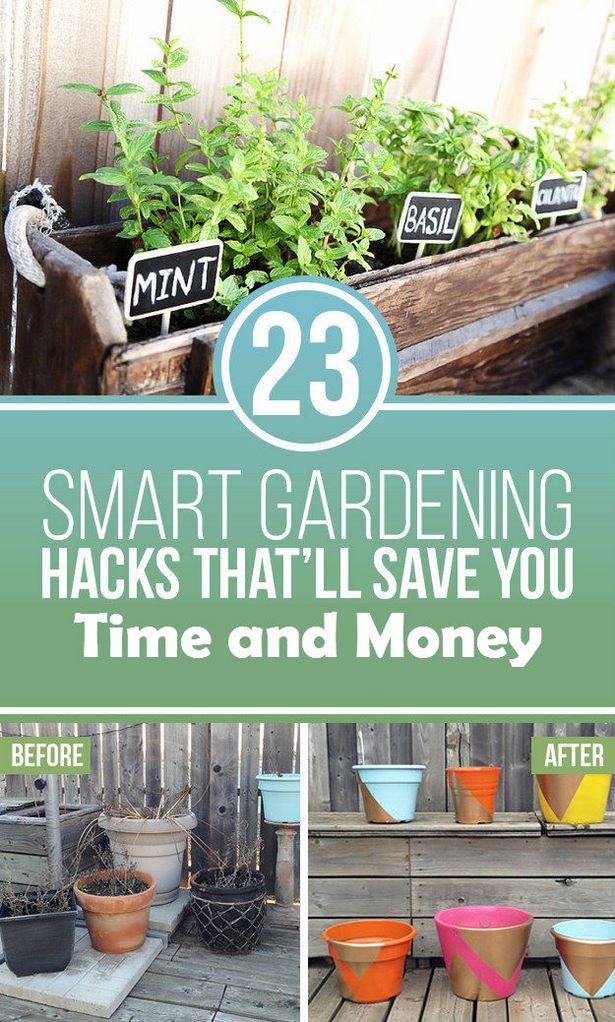 diy-home-garden-ideas-97_16 Направи си сам идеи за домашна градина