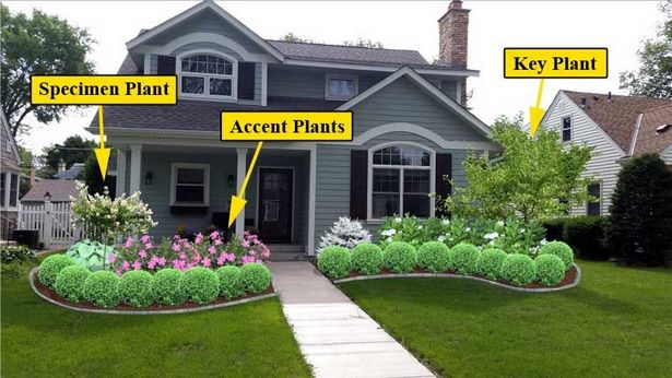 front-yard-landscaping-bushes-12 Преден двор озеленяване храсти