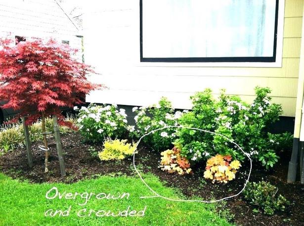 front-yard-landscaping-bushes-12_8 Преден двор озеленяване храсти