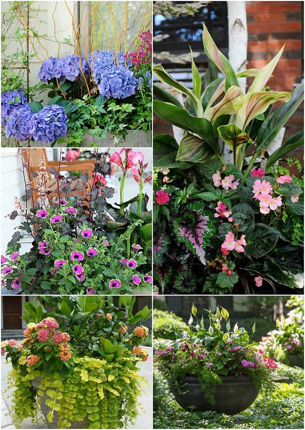 garden-flower-container-ideas-03_7 Идеи за градински цветя