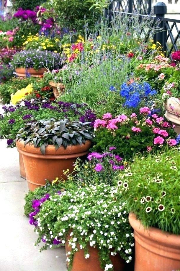 garden-flower-pot-arrangements-36_15 Градински саксии