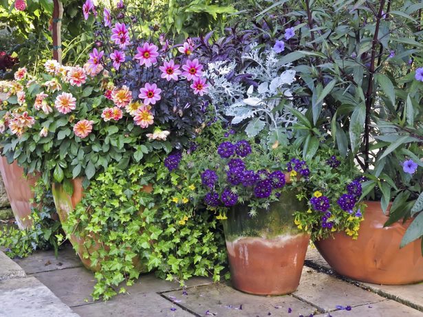 garden-flower-pot-arrangements-36_16 Градински саксии