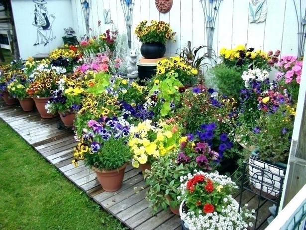 garden-flower-pot-arrangements-36_2 Градински саксии
