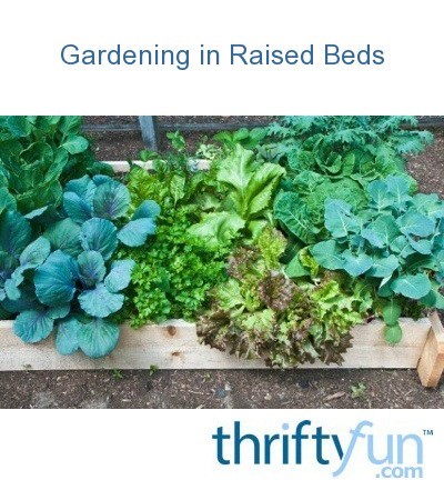gardening-in-raised-beds-32_10 Градинарство в повдигнати легла