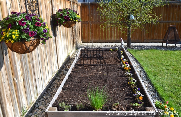 gardening-in-raised-beds-32_7 Градинарство в повдигнати легла
