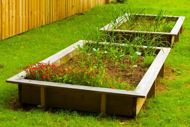 home-garden-raised-beds-51_14 Начало Градина повдигнати легла