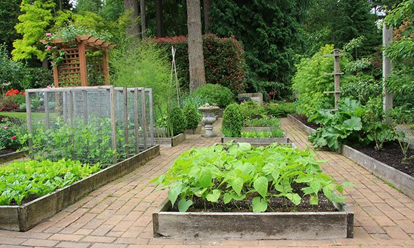 home-garden-raised-beds-51_5 Начало Градина повдигнати легла