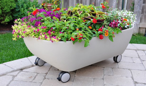 ideas-for-flowers-in-containers-44_5 Идеи за цветя в контейнери