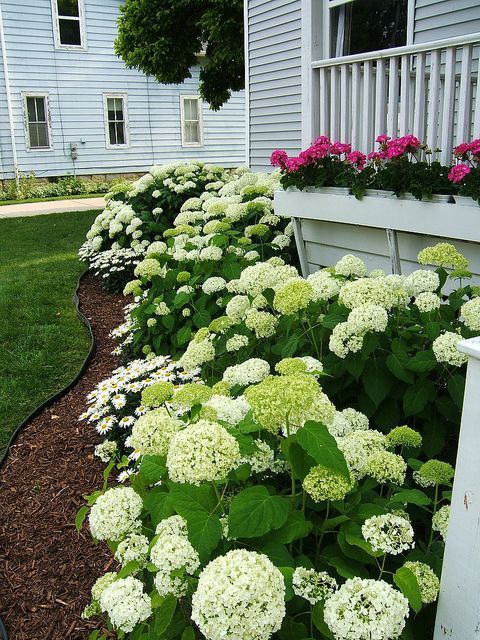 ideas-for-front-yard-plants-65_14 Идеи за предния двор растения