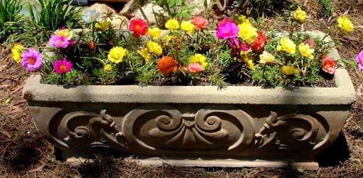 ideas-for-outdoor-flower-containers-26_7 Идеи за контейнери за цветя на открито