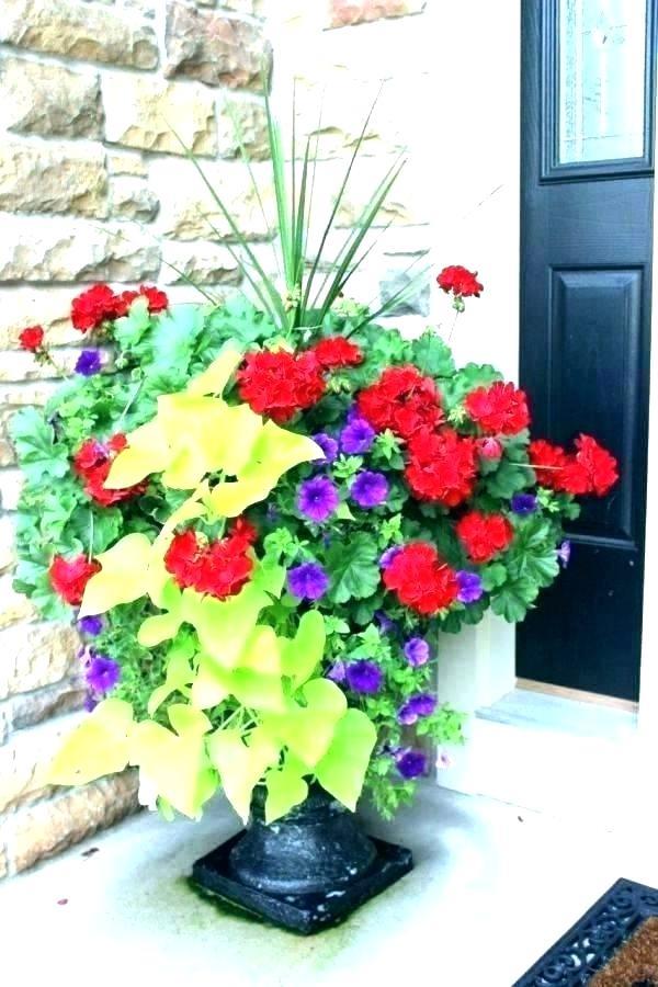 ideas-for-outdoor-flowers-in-pots-69_14 Идеи за външни цветя в саксии