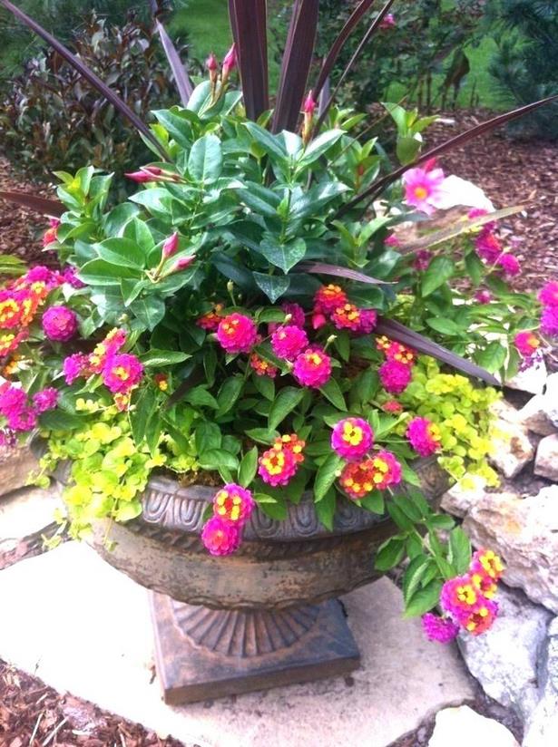 ideas-for-outdoor-flowers-in-pots-69_15 Идеи за външни цветя в саксии