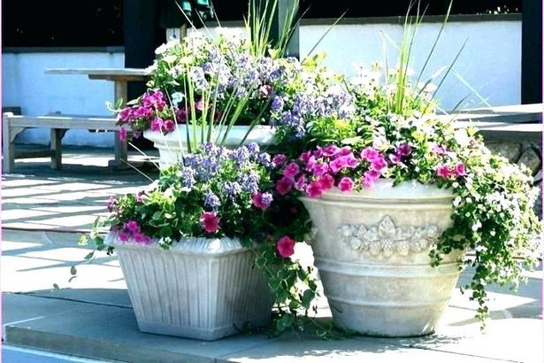 ideas-for-patio-pots-flowers-63_10 Идеи за вътрешен двор саксии цветя