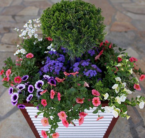 ideas-for-patio-pots-flowers-63_3 Идеи за вътрешен двор саксии цветя