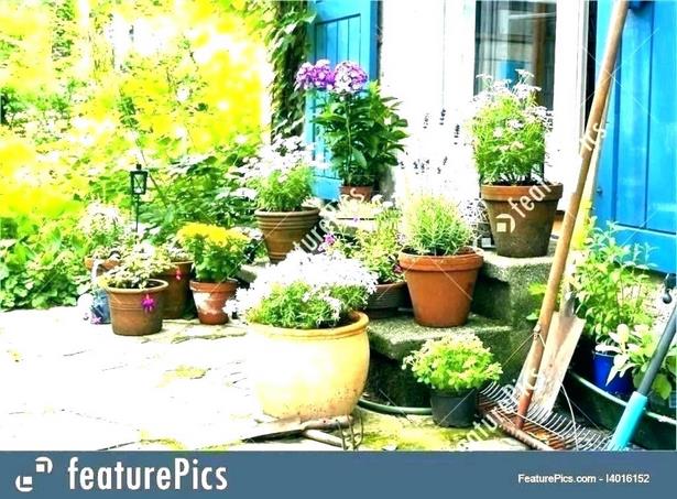 ideas-for-patio-pots-flowers-63_7 Идеи за вътрешен двор саксии цветя