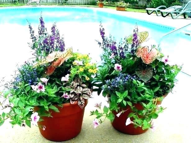 ideas-for-patio-pots-flowers-63_8 Идеи за вътрешен двор саксии цветя
