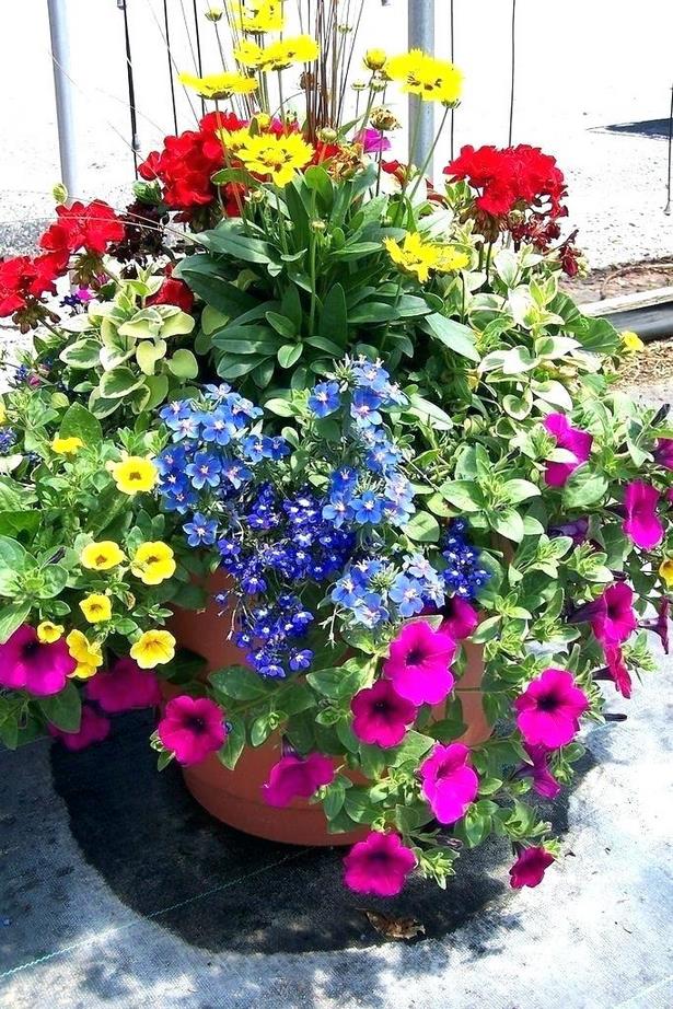 ideas-for-planting-flowers-in-containers-43_15 Идеи за засаждане на цветя в контейнери