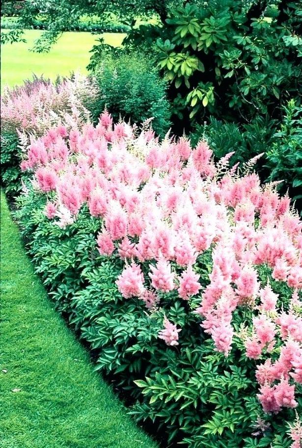 ideas-for-planting-flowers-in-front-yard-44_13 Идеи за засаждане на цветя в предния двор