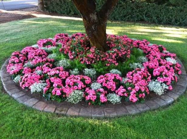 ideas-for-planting-flowers-in-front-yard-44_17 Идеи за засаждане на цветя в предния двор