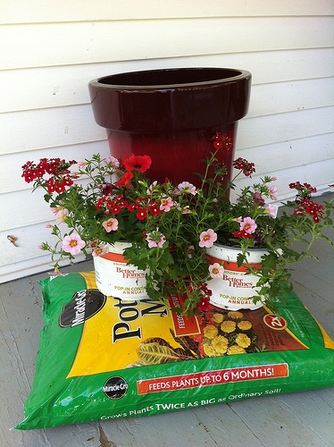 ideas-for-planting-large-flower-pots-41_11 Идеи за засаждане на големи саксии за цветя